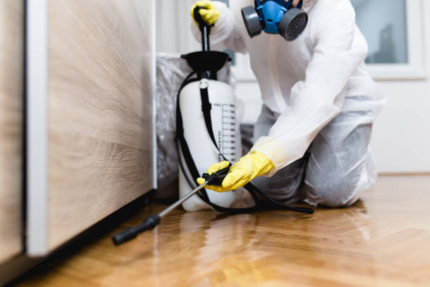 Best Commercial Pest Control Services  in Dekal, IL