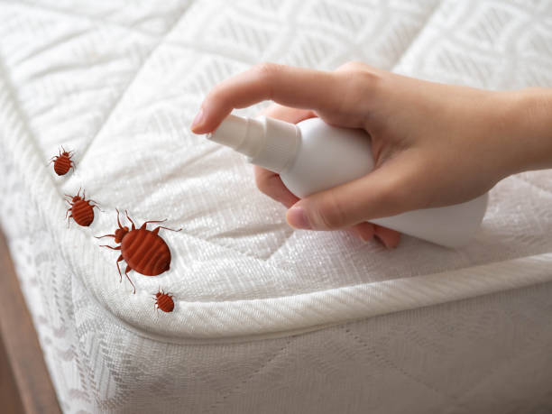 Pest Prevention Services in Dekal, IL